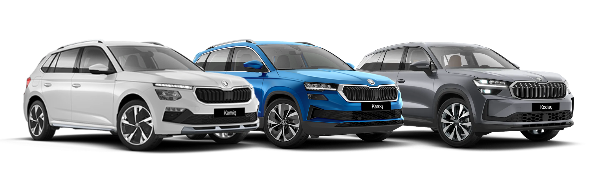 Skoda vehicles